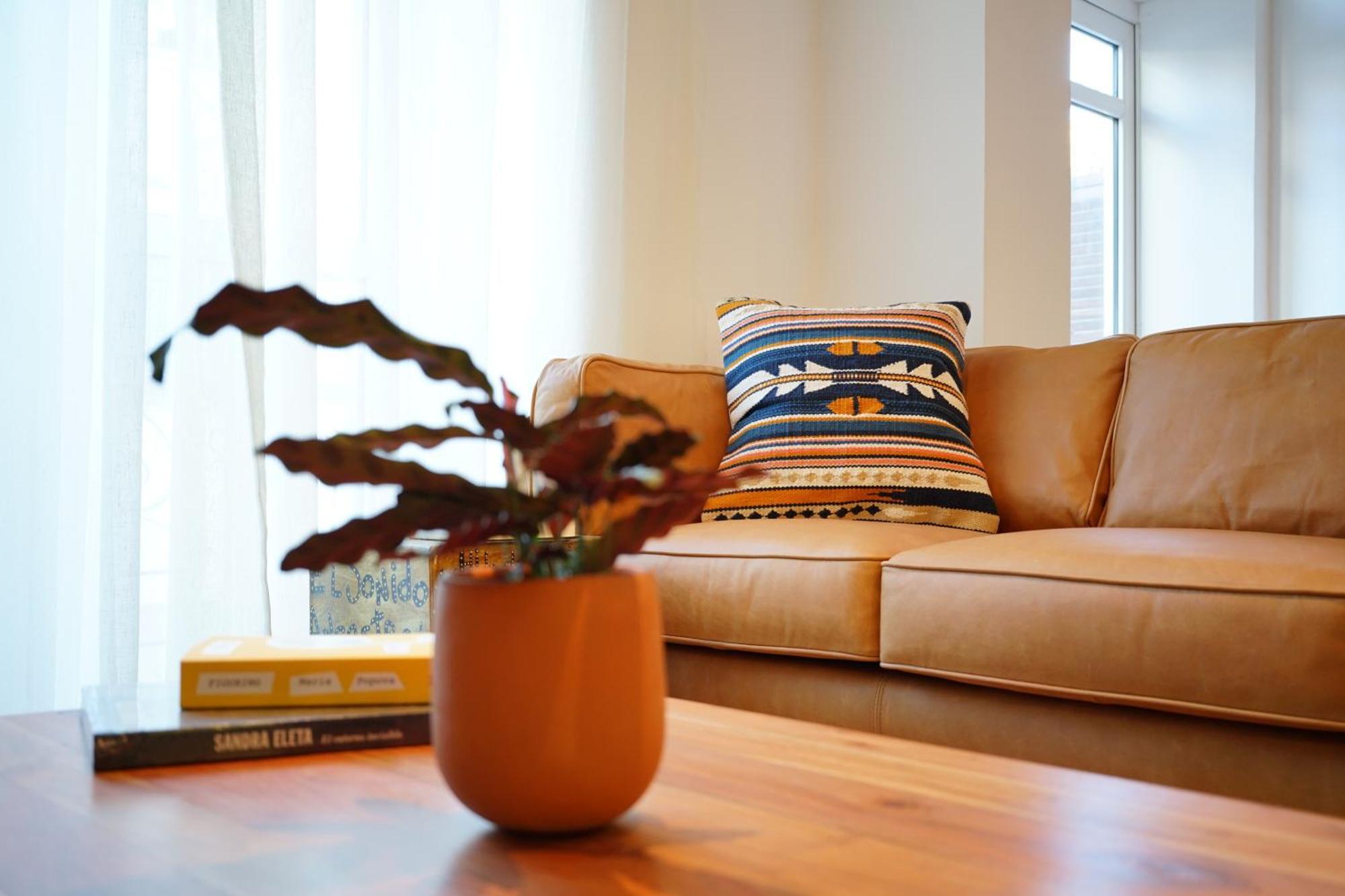 פנמה סיטי Casa Mallet By Wynwood House מראה חיצוני תמונה